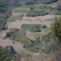 Photo de france - La randonnée de l'ancien refuge sur la colline